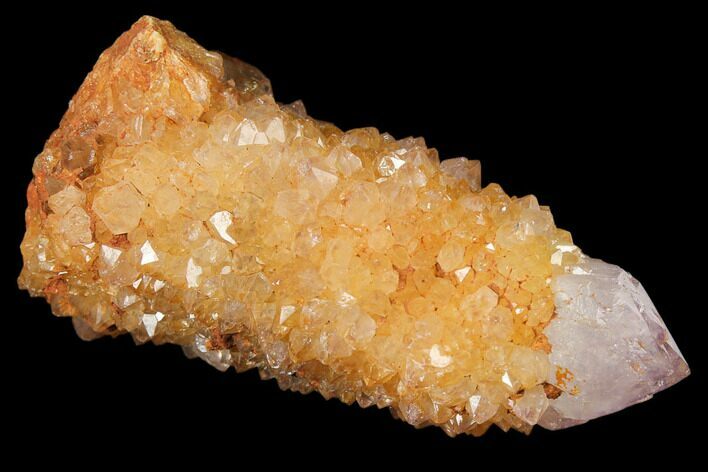 Sunshine Cactus Quartz Crystal - South Africa #122337